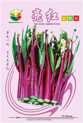 亮红红菜苔——菜苔