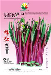 辉红红菜苔——菜苔