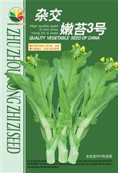 嫩苔3号——菜苔