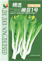 嫩苔1号——菜苔