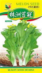 株洲苔冠——菜苔