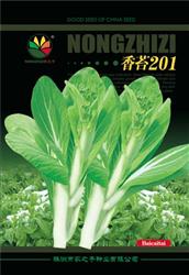 香苔201——菜苔