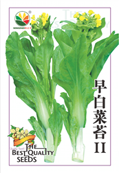 早白菜苔II——菜苔
