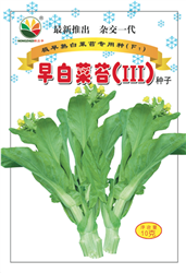 早白菜苔III——菜苔