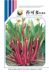 苔可多——菜苔