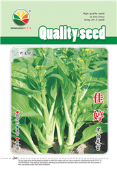 佳婷——菜苔