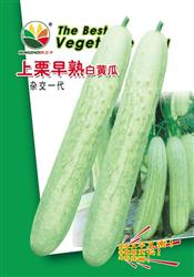 上栗早熟白黄瓜——白黄瓜