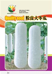 粉杂三号大冬瓜——瓠瓜、冬瓜