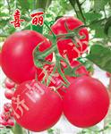 喜丽