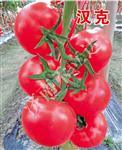 汉克