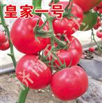 皇家一号