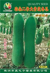 农杂二号大青皮冬瓜——瓠瓜、冬瓜