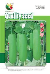 密多早——瓠瓜、冬瓜