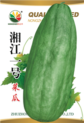 湘江一号菜瓜——其他