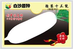 短叶十三号——其他
