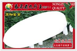 春不老九斤王——其他