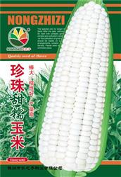 珍珠甜糯玉米——其他