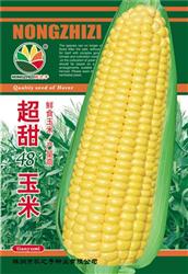 超甜48玉米——其他