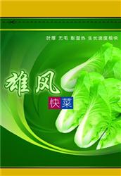 雄风快菜——其他