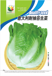 意大利生菜——其他