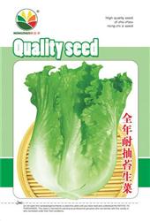 耐抽苔生菜——其他