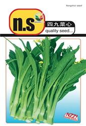 四九菜心——其他