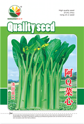 阿Q菜心——其他