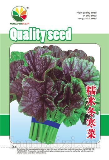 糯米冬寒菜——其他