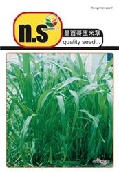 墨西哥玉米草——其他