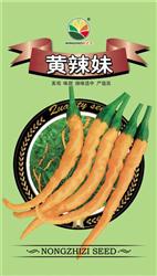 黄辣妹——其他