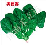 奥德赛