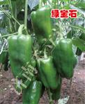 绿宝石