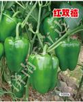 红双禧