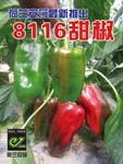 8116彩椒