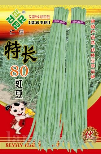 供应特长80—豇豆种子