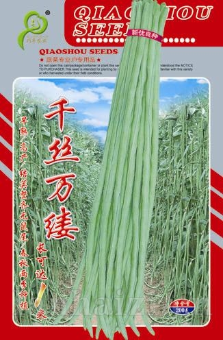 供应千丝万缕—豇豆种子