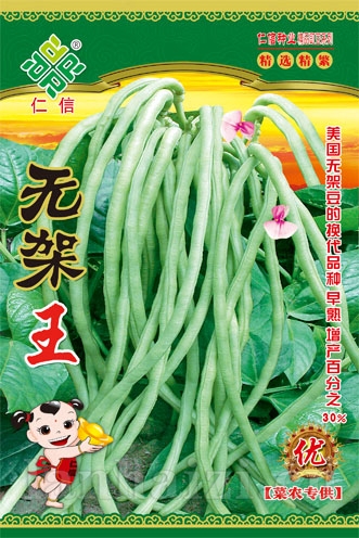 供应无架王—豇豆种子