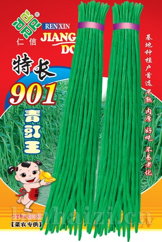供应901青豇王—豇豆种子