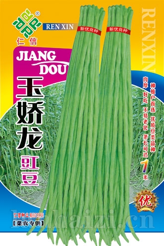 供应玉娇龙豇豆—豇豆种子