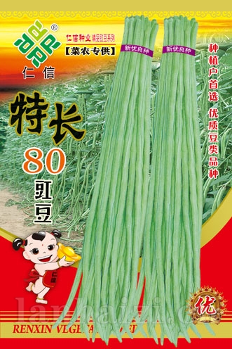 供应特长80—豇豆种子