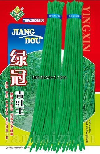 供应仁信地豇王架豆—豇豆种子