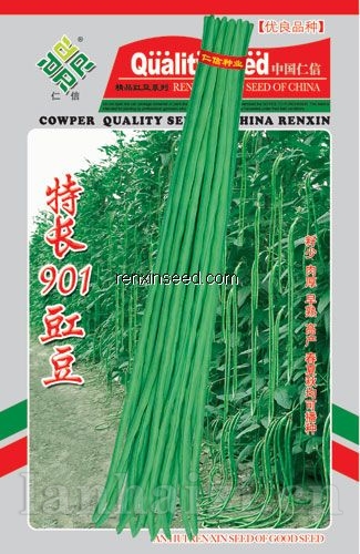 供应特长901豇豆—豇豆种子