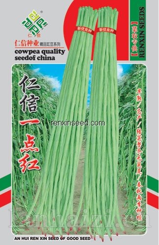 仁信一点