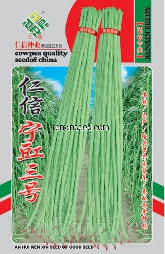 供应仁信宁豇三号—豇豆种子