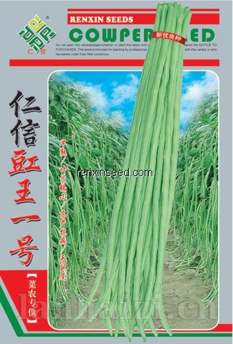 供应仁信豇王一号—豇豆种子
