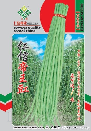 供应仁信帝王豇—豇豆种子