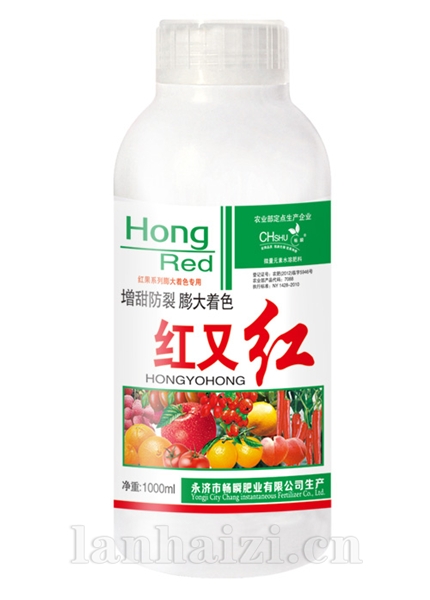 红又红