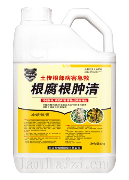 根腐根肿清