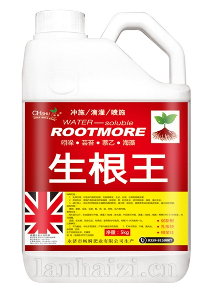 生根王