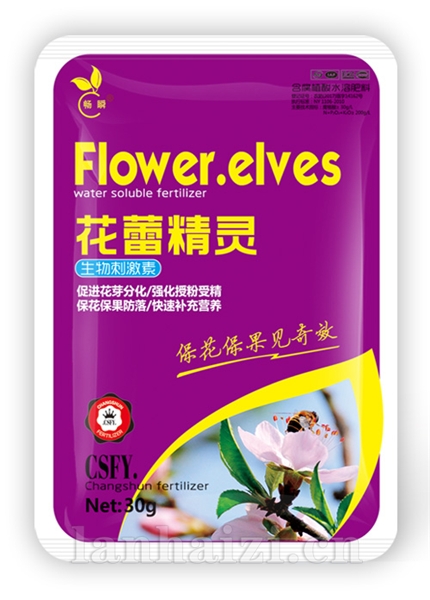 花蕾精灵